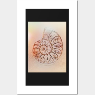 Ammonite Posters and Art